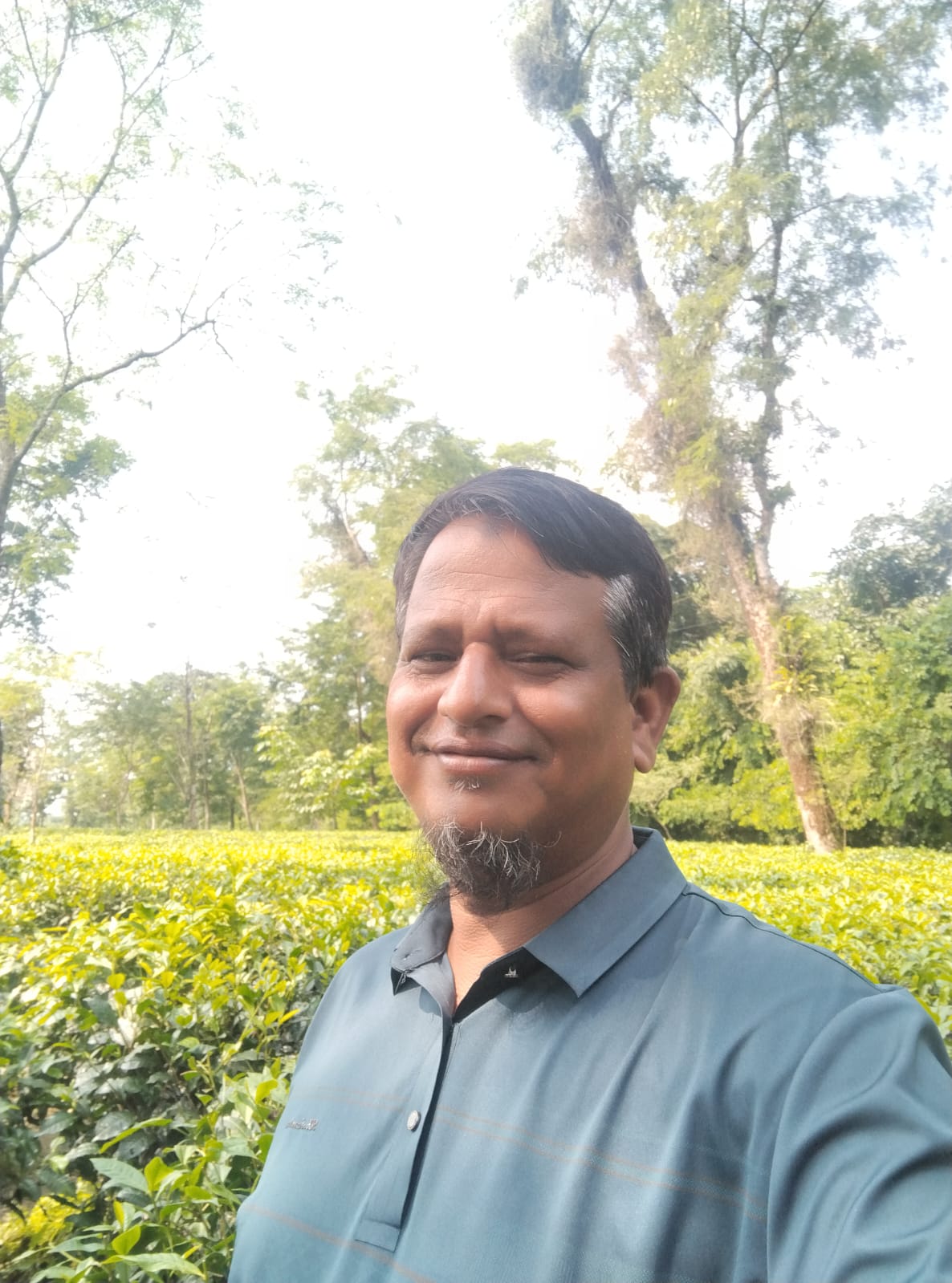 Md. Anamul Haque